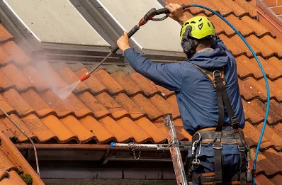 Démoussage et hydrofuge de toiture à Fercé